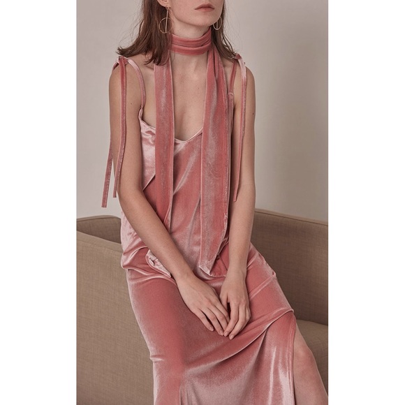 Dresses & Skirts - Lowell Pink Velvet Maxi Slip Dress Gown Long 2 4
